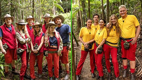 Wer verdient im Dschungelcamp 2025 am meisten? Wer verdient im Dschungelcamp 2025 am meisten?