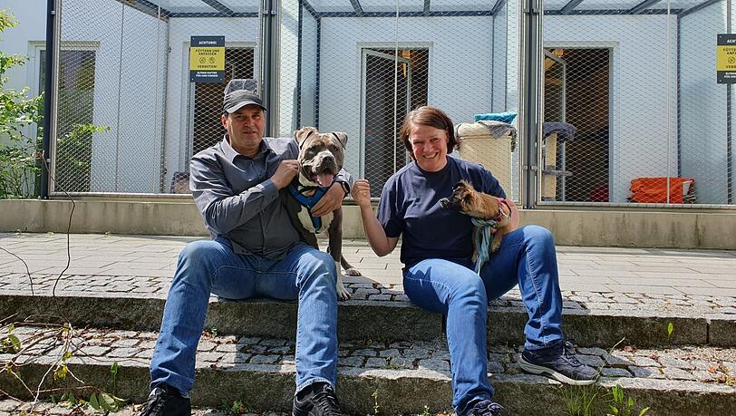 Claus Reichinger mit American Staffordshire Terrier Ace und Hündin Alfi im Arm von Tierheim-Leiterin Eva-Maria Natzer. Claus Reichinger mit American Staffordshire Terrier Ace und Hündin Alfi im Arm von Tierheim-Leiterin Eva-Maria Natzer.