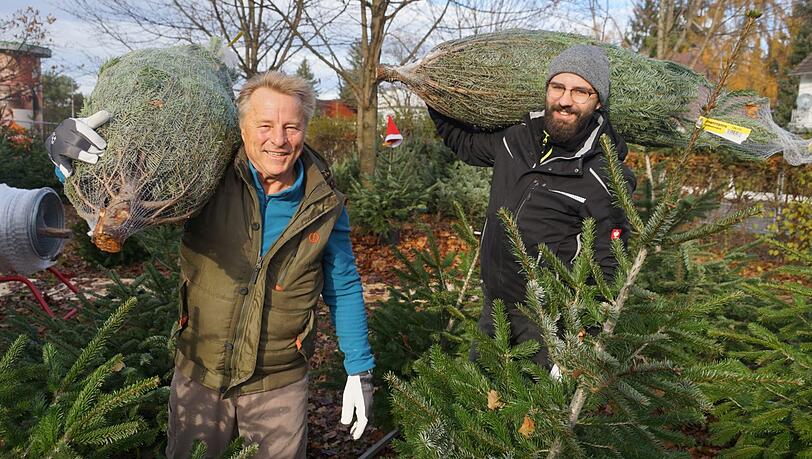 Rupert Bauer und sein Sohn Markus haben satte Weihnachtsbäume und einen satten Rabatt für AZ-Leser. Rupert Bauer und sein Sohn Markus haben satte Weihnachtsbäume und einen satten Rabatt für AZ-Leser.