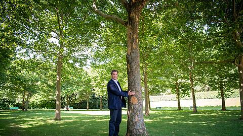 Dieses Foto verfolgt Markus Söder seit seiner Aufnahme 2020: Damals umarmte der bayerische Ministerpräsident einen Baum in München um zu zeigen, wie wichtig ihm der Klimaschutz ist. Nun hat Söders Kabinett die Klimaneutralität von 2040 auf 2045 verschoben. (Archivbild) Dieses Foto verfolgt Markus Söder seit seiner Aufnahme 2020: Damals umarmte der bayerische Ministerpräsident einen Baum in München um zu zeigen, wie wichtig ihm der Klimaschutz ist. Nun hat Söders Kabinett die Klimaneutralität von 2040 auf 2045 verschoben. (Archivbild)