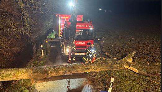 Die Feuerwehr musste überwiegend umgestürzte Bäume und abgerissene Äste bergen. Die Feuerwehr musste überwiegend umgestürzte Bäume und abgerissene Äste bergen.