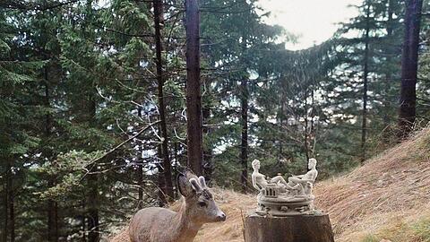 Gleich lässt sich das Reh Cellinis Saliera schmecken. Das Prachtstück ist als Leckstein in einem Wald in der Steiermark gefragt. Gleich lässt sich das Reh Cellinis Saliera schmecken. Das Prachtstück ist als Leckstein in einem Wald in der Steiermark gefragt.