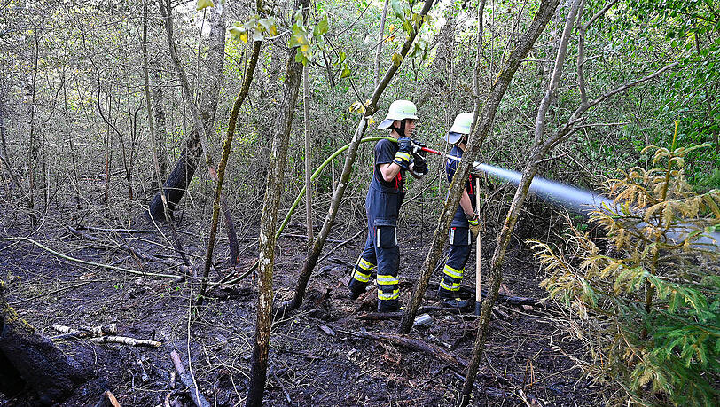 Der Feuerwehreinsatz im Wald dauerte mehrere Stunden lang an. Der Feuerwehreinsatz im Wald dauerte mehrere Stunden lang an.