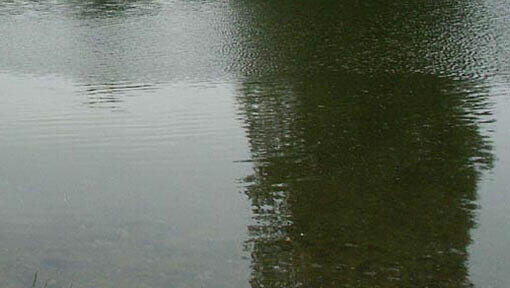 An einem Weiher an der Würm wurde ein britischer Jugendlicher bei einem Badeunfall schwer verletzt. (Symbolbild) An einem Weiher an der Würm wurde ein britischer Jugendlicher bei einem Badeunfall schwer verletzt. (Symbolbild)