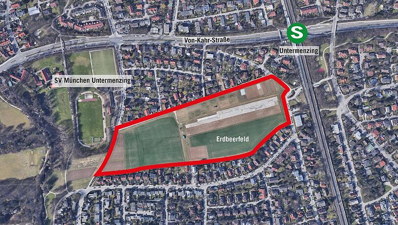 Die sogenannte Erdbeerwiese an der Bauseweinallee/Weinschenkstraße und angrenzende kleine Felder, auf denen ab Frühjahr Blumen und Raps angebaut werden.