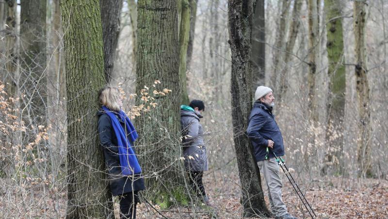 Teilnehmer einer "Achtsamzeit" meditieren an Bäumen im Nationalpark Hainich. Foto: Bodo Schackow/Archiv Teilnehmer einer "Achtsamzeit" meditieren an Bäumen im Nationalpark Hainich. Foto: Bodo Schackow/Archiv