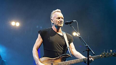 Rockstar Sting ist noch angeschlagen. Rockstar Sting ist noch angeschlagen.