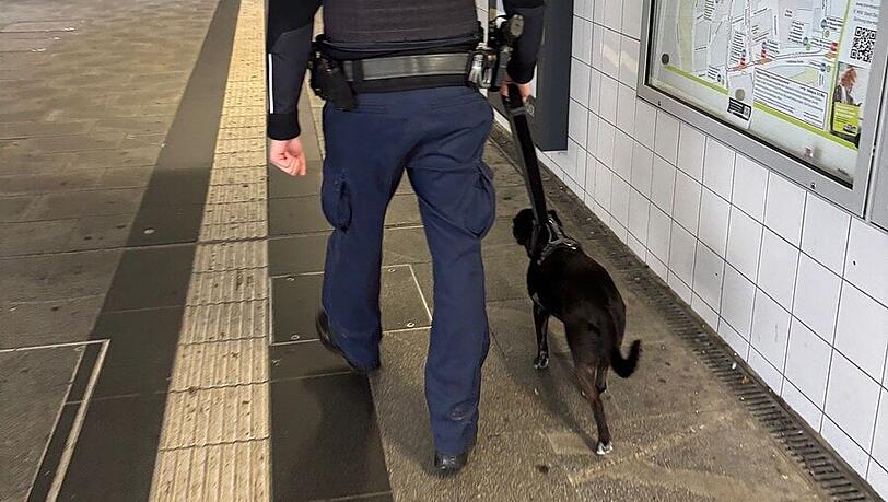 Am S-Bahnhof in Pasing hat die Bundespolizei den entlaufenen Hund in Empfang genommen. Am S-Bahnhof in Pasing hat die Bundespolizei den entlaufenen Hund in Empfang genommen.