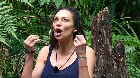 Lilly Becker und die anderen Dschungelcamp-Kandidaten stellten einen Negativ-Rekord auf. In der "Stunde danach" sorgt das für Frust und Ärger. Lilly Becker und die anderen Dschungelcamp-Kandidaten stellten einen Negativ-Rekord auf. In der "Stunde danach" sorgt das für Frust und Ärger.