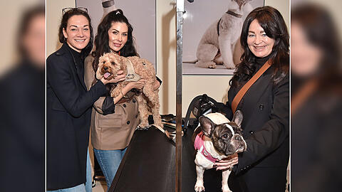 PR-Expertin Charlotte Gräfin von Oeynhausen (v.l.), Fashion-Expertin Jeannette Graf mit Cavapoo-Dame "Lilly" und Networkerin Michaela Aschberger mit "Lola" beim Store Opening des neuen Dog Spa "Pintu" in München. PR-Expertin Charlotte Gräfin von Oeynhausen (v.l.), Fashion-Expertin Jeannette Graf mit Cavapoo-Dame "Lilly" und Networkerin Michaela Aschberger mit "Lola" beim Store Opening des neuen Dog Spa "Pintu" in München.