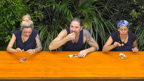 Ariel Hediger, Gil Ofarim und Eva Benetatou wurde Ekel-Essen vorgesetzt. Ariel Hediger, Gil Ofarim und Eva Benetatou wurde Ekel-Essen vorgesetzt.