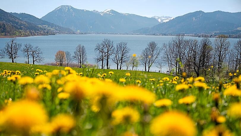 Blick auf den Tegernsee in Gmund. Am langen Wochenende um Christi Himmelfahrt rät die BRB von einer Reise zum beliebten Ausflugsziel aus München ab. Der Grund: fünftägige Bauarbeiten auf Straße und Schiene vom 8. bis 12. Mai. Blick auf den Tegernsee in Gmund. Am langen Wochenende um Christi Himmelfahrt rät die BRB von einer Reise zum beliebten Ausflugsziel aus München ab. Der Grund: fünftägige Bauarbeiten auf Straße und Schiene vom 8. bis 12. Mai.