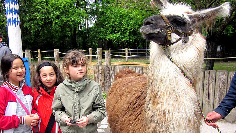 An einem Tag gehen die Kids in den Tierpark. An einem Tag gehen die Kids in den Tierpark.