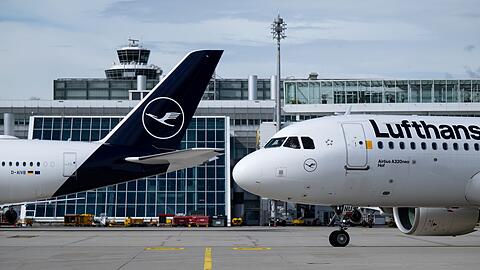 Lufthansa-Maschinen am Münchner Flughafen. (Symbolbild) Lufthansa-Maschinen am Münchner Flughafen. (Symbolbild)