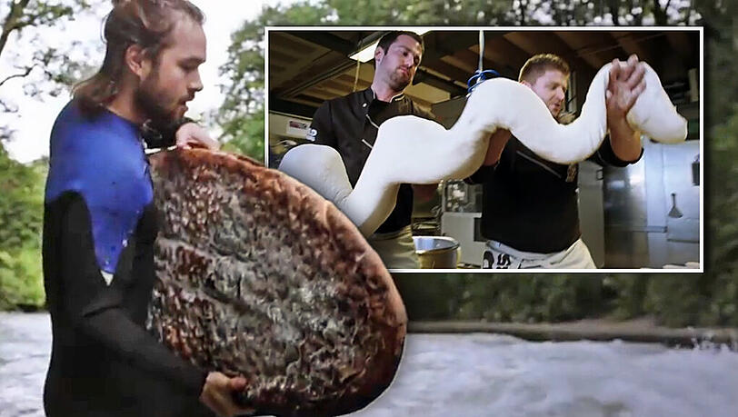 Mit einem Brot in die Eisbachwelle? Der Münchner Surfer Simon Strangfeld hat einen Ritt mit dem gebackenen "Surfbread" gewagt. Mit einem Brot in die Eisbachwelle? Der Münchner Surfer Simon Strangfeld hat einen Ritt mit dem gebackenen "Surfbread" gewagt.