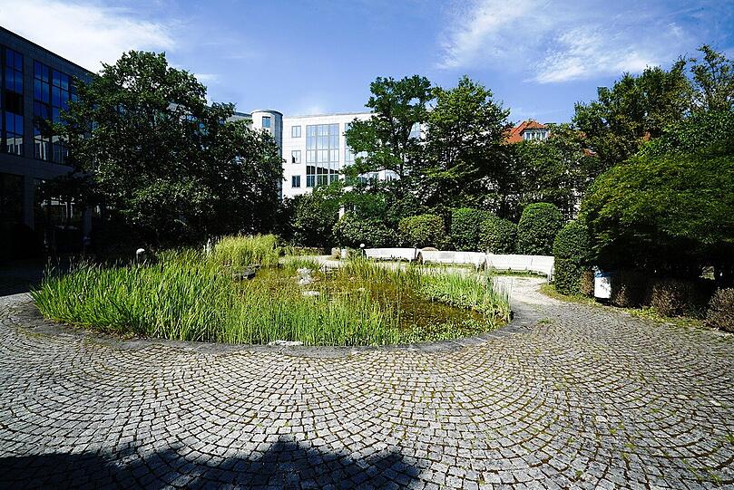 Innenhof: Viel Grün, ein Teich und im Sommer Enten. Ideal für eine entspannte Mittagspause. Innenhof: Viel Grün, ein Teich und im Sommer Enten. Ideal für eine entspannte Mittagspause.