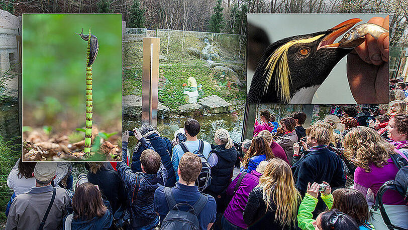 Vom 13. März bis 26. April findet im Tierpark Hellabrunn die Fotoausstellung "Klick in die Zukunft" statt. Vom 13. März bis 26. April findet im Tierpark Hellabrunn die Fotoausstellung "Klick in die Zukunft" statt.