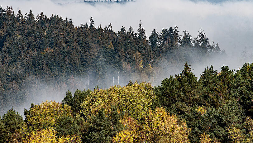 Der Bayerische Wald im Osten des Freistaats ist einer von zwei Nationalparks in Bayern. Kommt nun ein dritter dazu? Der Bayerische Wald im Osten des Freistaats ist einer von zwei Nationalparks in Bayern. Kommt nun ein dritter dazu?