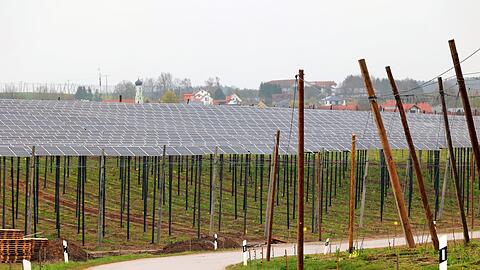Das Pilotprojekt kombiniert Landwirtschaft und Solarkraft - inmitten von Hopfenfeldern in der Hallertau. Das Pilotprojekt kombiniert Landwirtschaft und Solarkraft - inmitten von Hopfenfeldern in der Hallertau.