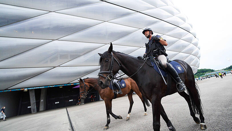 Zwei Fußbalfans wollten ein Selfie machen, dann trat das Polizeipferd zu. (Symbolbild) Zwei Fußbalfans wollten ein Selfie machen, dann trat das Polizeipferd zu. (Symbolbild)
