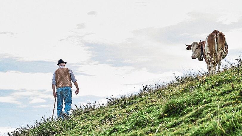 So oft wie möglich ist auch Bergbauer Sepp Jackl mit auf der Alm. Ihm ist es wichtig, dass seine Tiere im Sommer auf dem Berg sind. So lernen sie, welche Kräuter gut für sie sind. Kühe nur im Stall zu halten findet er nicht richtig. So oft wie möglich ist auch Bergbauer Sepp Jackl mit auf der Alm. Ihm ist es wichtig, dass seine Tiere im Sommer auf dem Berg sind. So lernen sie, welche Kräuter gut für sie sind. Kühe nur im Stall zu halten findet er nicht richtig.