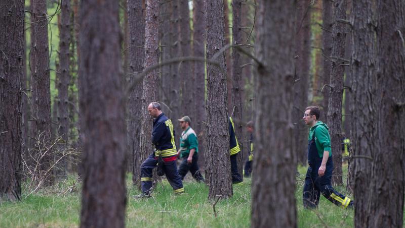 Einsatzkräfte suchen in einem Waldgebiet bei Wilhelmshof ein vermisstes Mädchen. Einsatzkräfte suchen in einem Waldgebiet bei Wilhelmshof ein vermisstes Mädchen.