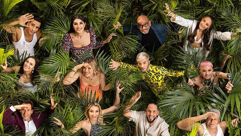 Das RTL-Dschungelcamp startet am 24. Januar 2025. Die Werbeplätze zur Prime-Time sind heiß begehrt. Das RTL-Dschungelcamp startet am 24. Januar 2025. Die Werbeplätze zur Prime-Time sind heiß begehrt.