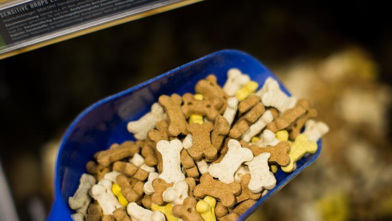 Einige Milchprodukte wie Joghurt kann man gut mit Hundefutter mischen. Einige Milchprodukte wie Joghurt kann man gut mit Hundefutter mischen.