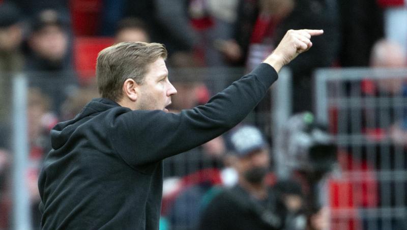 Wolfsburgs neuer Trainer Florian Kohfeldt gibt am Dienstag gegen Salzburg sein Debüt in der Champions League. Wolfsburgs neuer Trainer Florian Kohfeldt gibt am Dienstag gegen Salzburg sein Debüt in der Champions League.