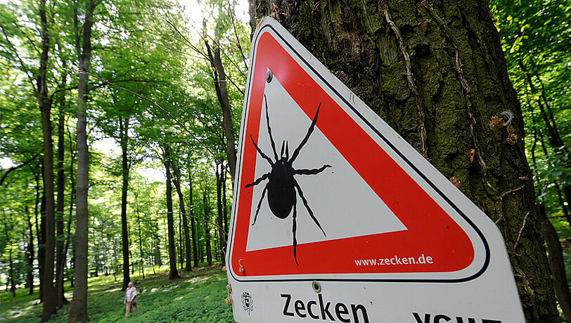 Zecken können die Erreger der Borreliose und der Hirnhautentzündung FSME übertragen.In Bayern ist die Gefahr besonders hoch. Zecken können die Erreger der Borreliose und der Hirnhautentzündung FSME übertragen.In Bayern ist die Gefahr besonders hoch.