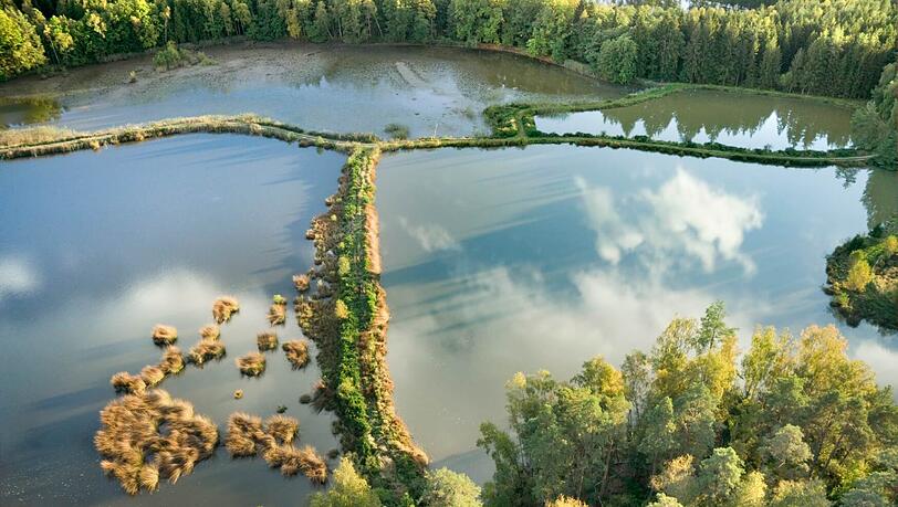 Seit rund 1000 Jahren gibt es im Landkreis Tirschenreuth Teiche. Aufgrund der vielen Teiche wird es als „Land der 1000 Teiche“ bezeichnet. Seit rund 1000 Jahren gibt es im Landkreis Tirschenreuth Teiche. Aufgrund der vielen Teiche wird es als „Land der 1000 Teiche“ bezeichnet.