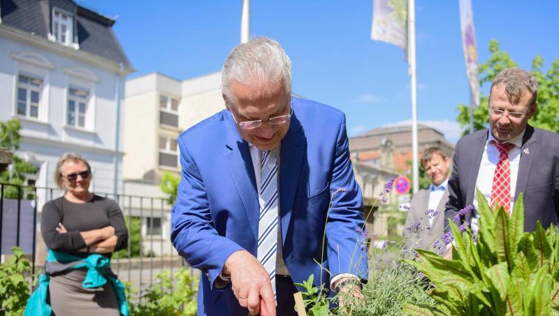 Joachim Herrmann (CSU, M), Innenminister von Bayern, pflanzt Lavendel in ein Beet. Foto: Nicolas Armer Joachim Herrmann (CSU, M), Innenminister von Bayern, pflanzt Lavendel in ein Beet. Foto: Nicolas Armer