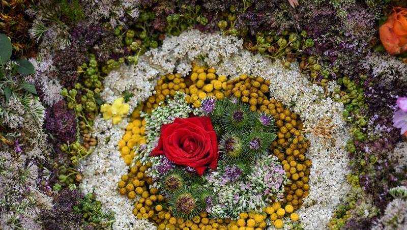 Bunte Blüten bilden einen Kreis in einem riesigen Strauß aus Kräutern. Foto: Patrick Seeger