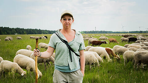Schäferin Martina Feser auf der Panzerwiese. Den ganzen Sommer über lässt sie ihre Merinolandschafe hier grasen und pflegt damit das Naturschutzgebiet. Schäferin Martina Feser auf der Panzerwiese. Den ganzen Sommer über lässt sie ihre Merinolandschafe hier grasen und pflegt damit das Naturschutzgebiet.