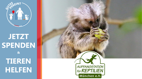 Die Auffangstation für Reptilien benötigt Ihre Spende für die Installation und Bestückung neuer Außenvolieren. Die Auffangstation für Reptilien benötigt Ihre Spende für die Installation und Bestückung neuer Außenvolieren.