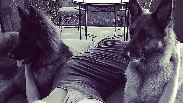 Model-Mama Heidi Klum mit einem Fast-Busenblitzer - und ihren zwei Schäferhunden Max und Freddy. Model-Mama Heidi Klum mit einem Fast-Busenblitzer - und ihren zwei Schäferhunden Max und Freddy.