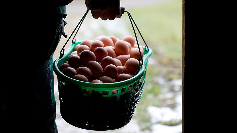 Viele Menschen legen Wert auf ausgewogene Ernährung. Viele Menschen legen Wert auf ausgewogene Ernährung.