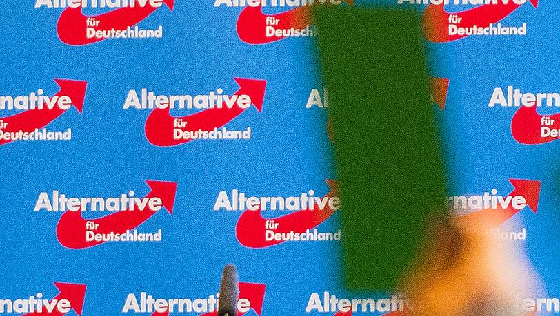 Im Mai hat die AfD ein nationalkonservatives Grundsatzprogramm verabschiedet. Foto: Daniel Bockwoldt Im Mai hat die AfD ein nationalkonservatives Grundsatzprogramm verabschiedet. Foto: Daniel Bockwoldt