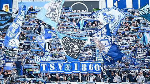 Da sind die Fans! Am 1. November im Stadion an der Grünwalder Straße: TSV 1860 München gegen FC Energie Cottbus. Da sind die Fans! Am 1. November im Stadion an der Grünwalder Straße: TSV 1860 München gegen FC Energie Cottbus.