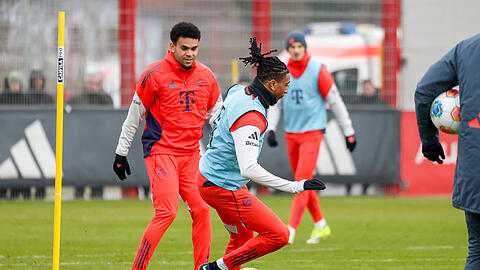 Die Flügelzange Olise und Díaz hat den FC Bayern deutlich besser gemacht. Die Flügelzange Olise und Díaz hat den FC Bayern deutlich besser gemacht.