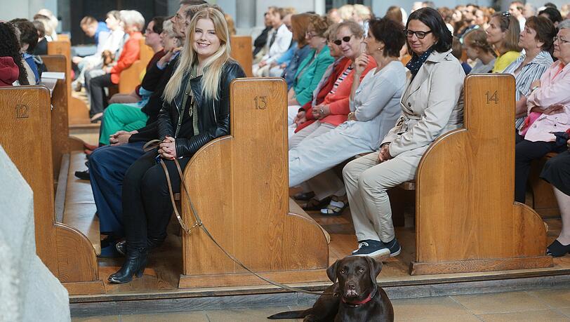 Dieser Hund ist aufmerksam... Dieser Hund ist aufmerksam...
