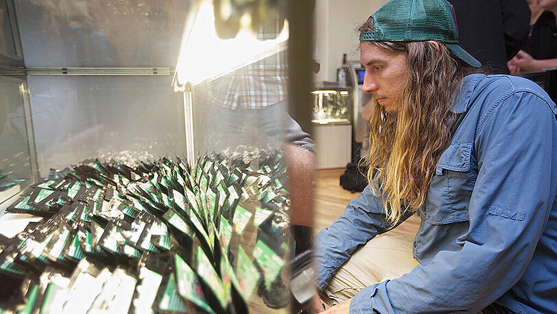 Ein Cannabis-Shop in South Carolina. Dort ist der Handel mit Gras unter bestimmten Auflagen inzwischen legal. Ein Cannabis-Shop in South Carolina. Dort ist der Handel mit Gras unter bestimmten Auflagen inzwischen legal.