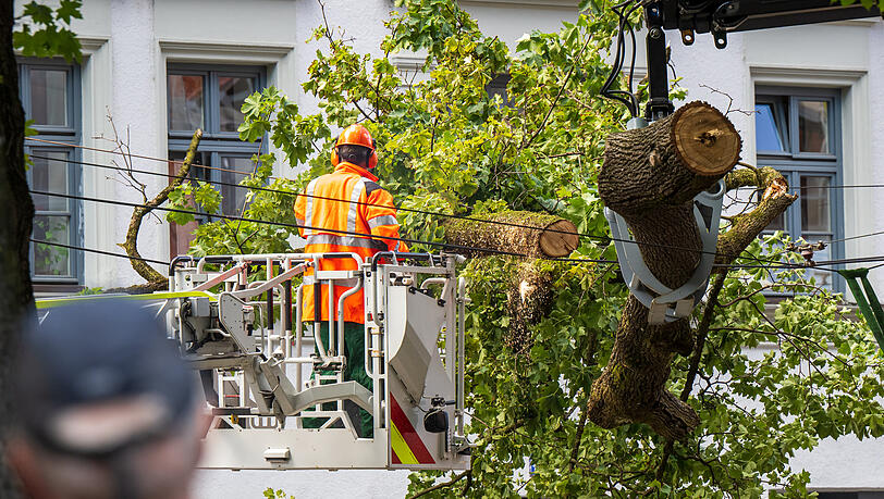 Ein Feuerwehrmann mit einer Kettensäge zerteilt den großen Ast. Ein Feuerwehrmann mit einer Kettensäge zerteilt den großen Ast.