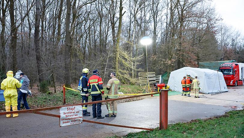 Kontrolleure in Schutzanzügen, Feuerwehrleute, Polizisten, Mitarbeiter des THW und des Roten Kreuzes sind wegen eines Geflügelpest-Ausbruchs vor Ort. Kontrolleure in Schutzanzügen, Feuerwehrleute, Polizisten, Mitarbeiter des THW und des Roten Kreuzes sind wegen eines Geflügelpest-Ausbruchs vor Ort.