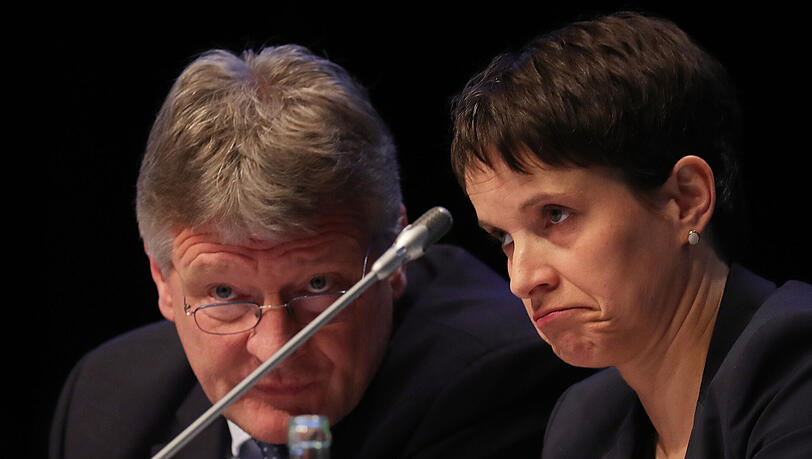 Haben sich wenig bis nichts zu sagen: Noch-AfD-Chefin Frauke Petry und ihr Vize Jörg Meuthen. Haben sich wenig bis nichts zu sagen: Noch-AfD-Chefin Frauke Petry und ihr Vize Jörg Meuthen.