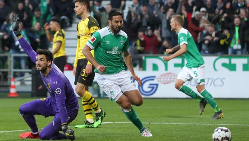 Bremens Torschütze Claudio Pizarro (M) hat den Treffer zum 2:2 erzielt während BVB-Torwart Roman Bürki (l) reklamiert. Bremens Torschütze Claudio Pizarro (M) hat den Treffer zum 2:2 erzielt während BVB-Torwart Roman Bürki (l) reklamiert.