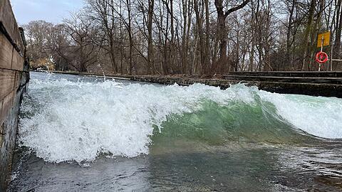 Die Eisbachwelle am Freitagvormittag (6.2.). Bislang türmt sich nur eine Miniwelle auf einer Seite auf. Surfen bleibt erstmal weiter verboten. Die Eisbachwelle am Freitagvormittag (6.2.). Bislang türmt sich nur eine Miniwelle auf einer Seite auf. Surfen bleibt erstmal weiter verboten.