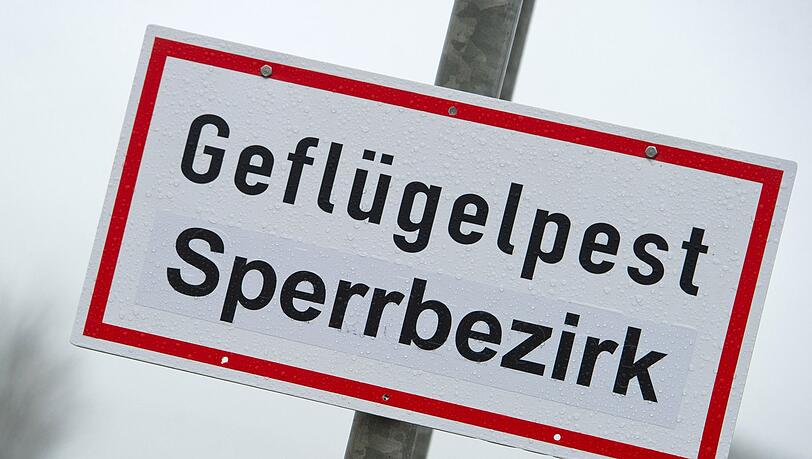 Ein Schild mit der Aufschrift "Geflügelpest Sperrbezirk". Ein Schild mit der Aufschrift "Geflügelpest Sperrbezirk".