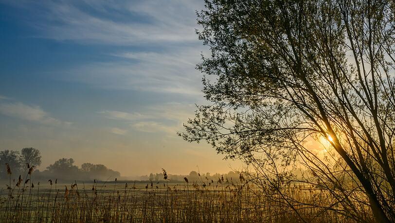 Nach einem sonnigen Start in den Ostersonntag droht es in Teilen Deutschlands, ungemütlich zu werden. Nach einem sonnigen Start in den Ostersonntag droht es in Teilen Deutschlands, ungemütlich zu werden.