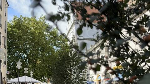 Wo auf diesem Bild die Pflanzentröge stehen, können sich die Grünen auch Großbäume vorstellen. Wo auf diesem Bild die Pflanzentröge stehen, können sich die Grünen auch Großbäume vorstellen.